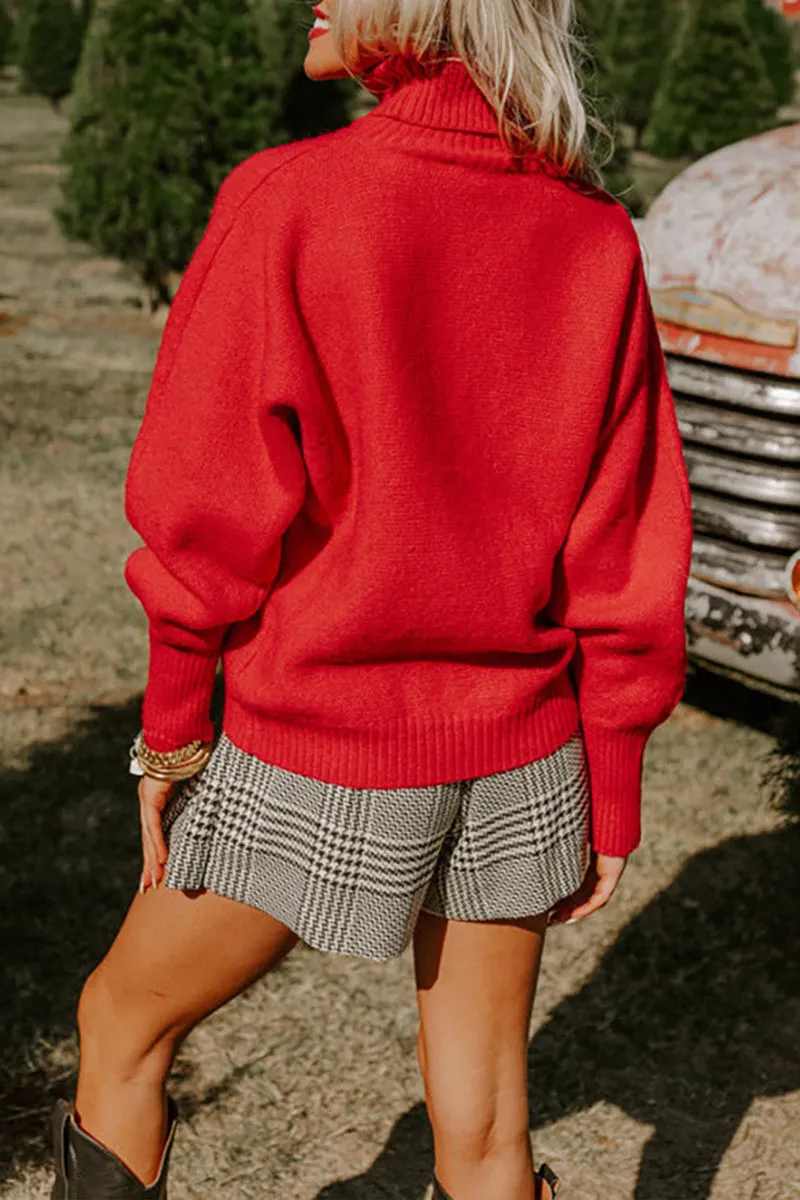 HWS1251 Joyful Turtleneck Sweater