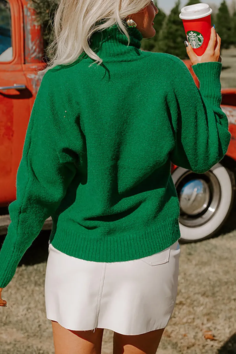 HWS1251 Joyful Turtleneck Sweater